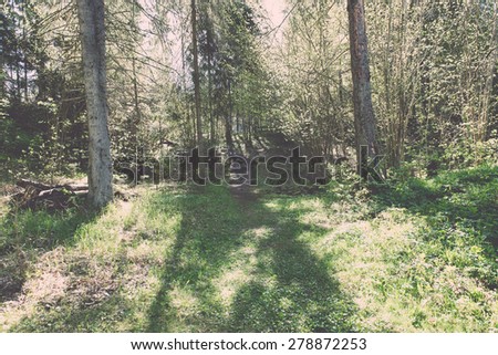 sunny tourist trail in the woods in spring at the countryside - retro vintage grainy film look