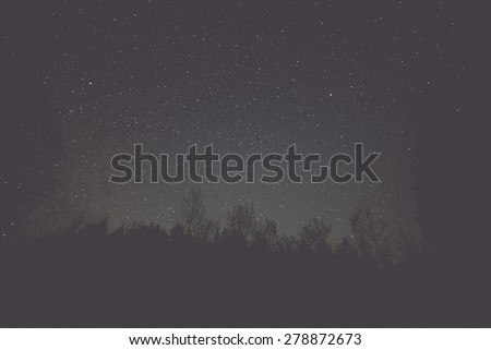 night sky with stars in forest with trees and shadows - retro vintage grainy film look