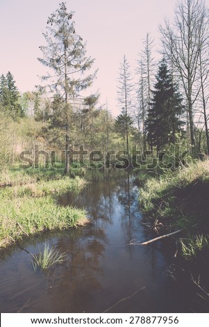 sunny tourist trail in the woods in spring at the countryside - retro vintage grainy film look