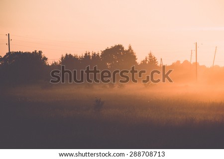 sunrise in misty country meadow with electricity lines in background - retro vintage film effect