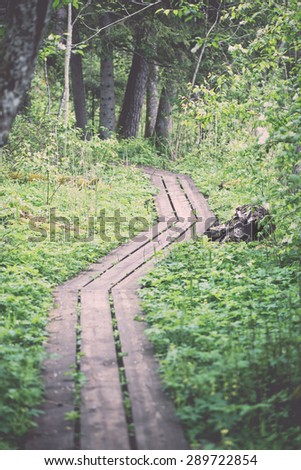 tourist trail in the countryside with trees and meadows in surrounding. perspective. - retro vintage film look