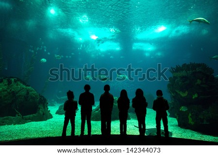 Children in a water park looking at fish through the glass Children in a water park looking at fish through the glass