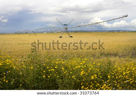 Agriculture watering machine with cloudy sky
