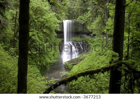 Middle North Falls at Silver Falls state Park