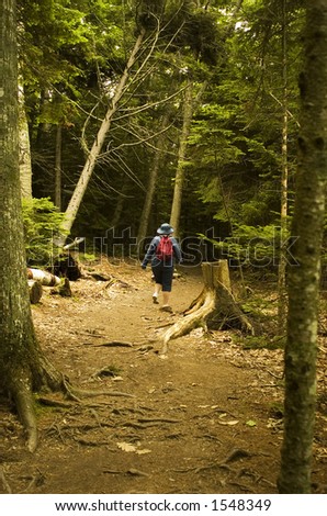 stock photo : A woman hikes alone on a wooded path at Wolf's Neck State Park