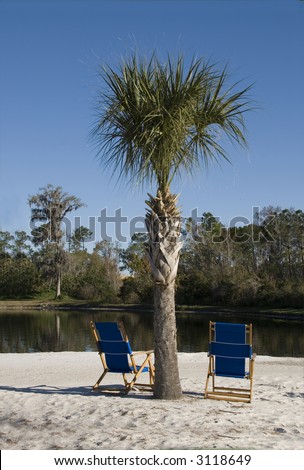 Blue Beach Tree