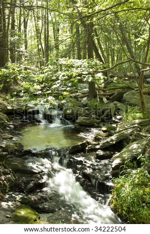 Soft focus water and the sun streams through a forest in summer
