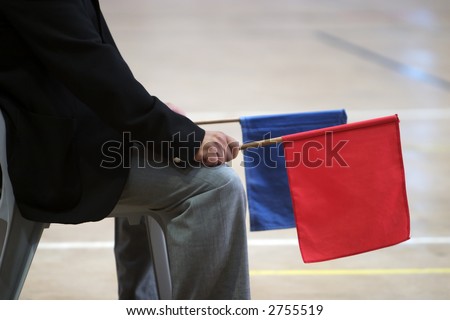 Karate referee with red and blue flags