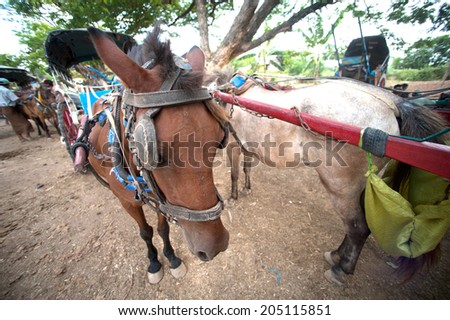 INWA,MYANMAR-JULY 1, : Unidentified carriage waiting passengers and carrying supplies the route to a village on July 1,2014 in Inwa ancient city,Mandalay State in Middle of Myanmar.