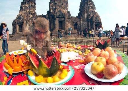 LOPBURI,THAILAND-NOV 30 : The monkeys enjoy eating local fruits ,vegetables,salad,eggs,dessert which bring people to thank in Monkey party on November 30,2014,Phraphrangsamyod temple,Lopburi,Thailand.