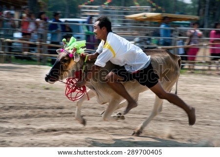PHETCHABURI,THAILAND-FEB 14 : The Ox Cart Festival celebrates an agricultural custom and is an opportunity for Thai officials to promote tourism on February 14,2014 in Phetchaburi Province,Thailand.