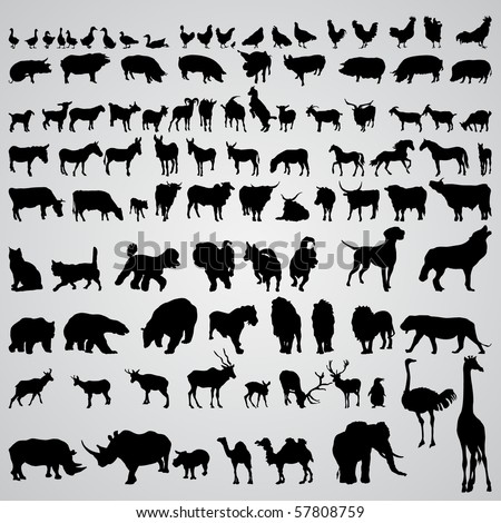 Animal Silhouette Images