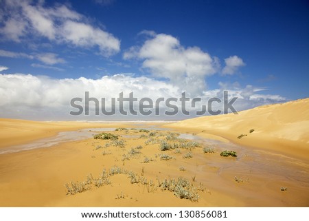 A stream running down from the dunes into the Indian Ocean, in an area known as the Sunshine Coast, in South Africa.