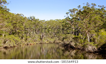 The Denmark River flows through indigenous forest at the town of Denmark in Western Australia.