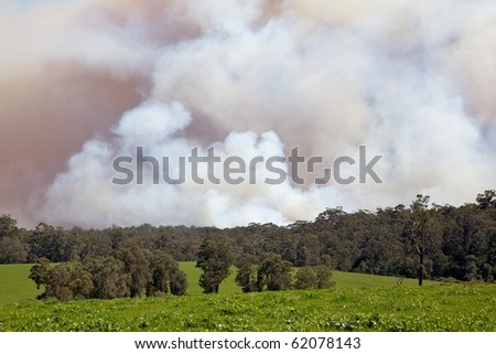 A forest fire near the town of Pemberton in Western Australia.