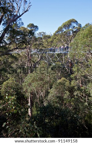 Tourists enjoying the Tree Top Walk in the Valley of the Giants, Walpole-Nornalup National Park, near Walpole, Western Australia