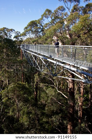 Tourists enjoying the Tree Top Walk in the Valley of the Giants, Walpole-Nornalup National Park, near Walpole, Western Australia