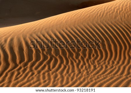 Abstract patterns in sand dunes near Dubai in the United Arab Emirates.
