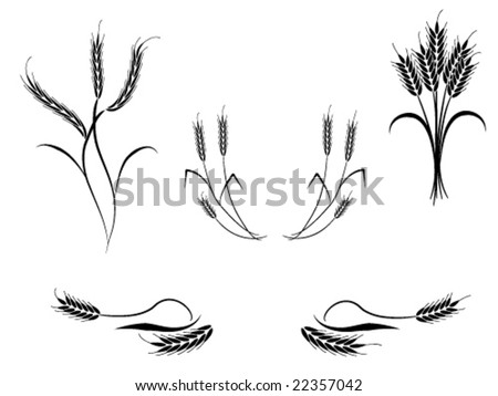 wheat vector multiple illustrations illustration shutterstock lightbox