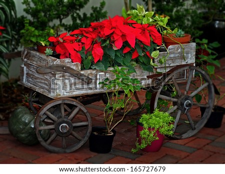 Wooden cart with colorful fall flowers