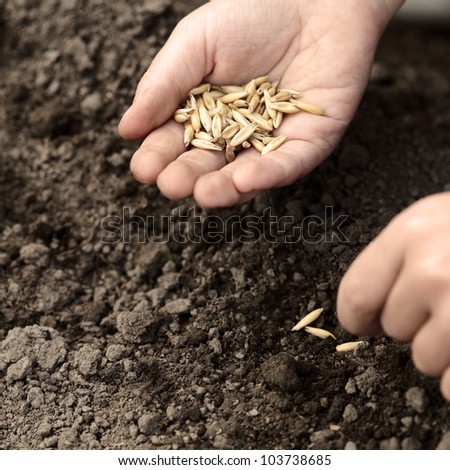 children hand sowing seed