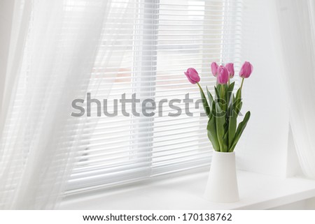 tulip in room tulip in room