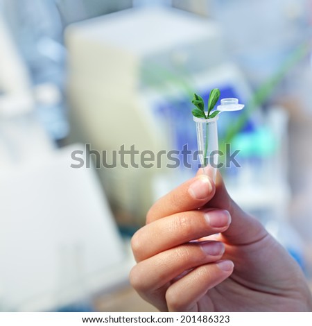 plant sprout in test tube