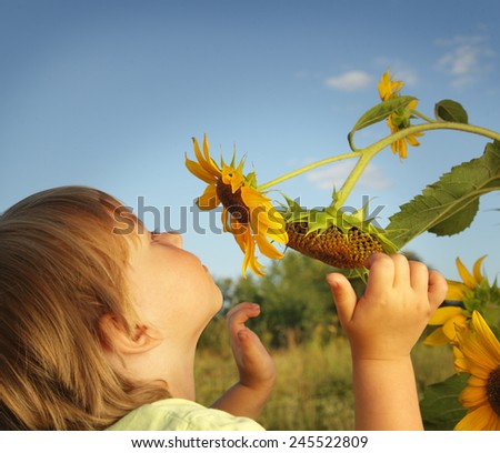 Happy boy with sunflower outdoors