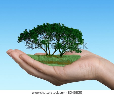 tree in hand