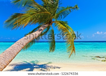Tropical beach on the island Vilamendhoo in the Indian Ocean Maldives Tropical beach on the island Vilamendhoo in the Indian Ocean Maldives