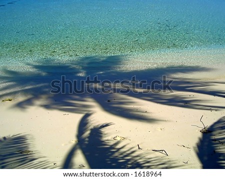 Shadows of the palm trees on the island in Indian Ocean
