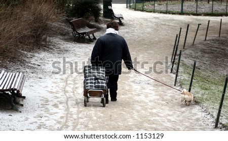 woman walking the dog in a park in winter