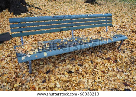 park bench covered and surrounded by tree leaves in fall