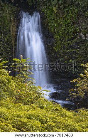 Unnamed falls on the Wailuku River as seen from the property of OK Farms, Hilo Hawaii
