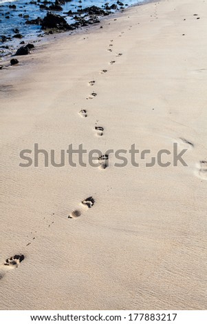 foot prints on golden beach sand at sunset