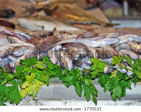 Fresh Live fish For Sale!