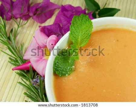 Gazpacho soup a cold, Spanish liquid salad that is popular in warmer areas and during the summer. Andalusian food and drink