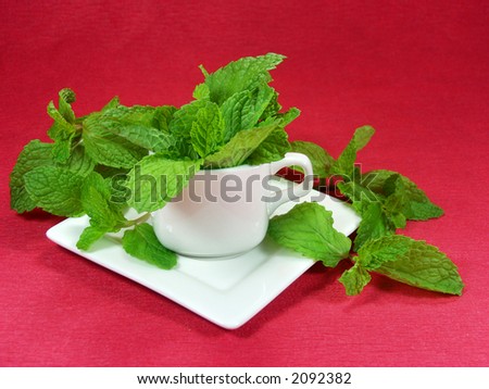 a cup of green leaves of mint on red background