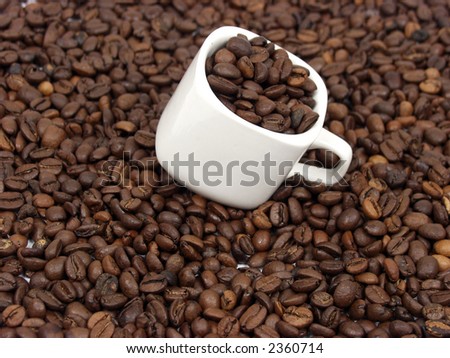 white coffe cup with black and brown beans