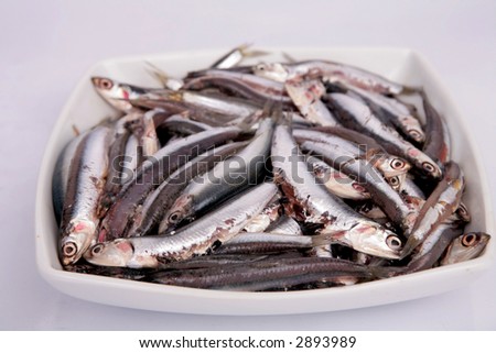 fresh fish anchovy in a white bowl for cook