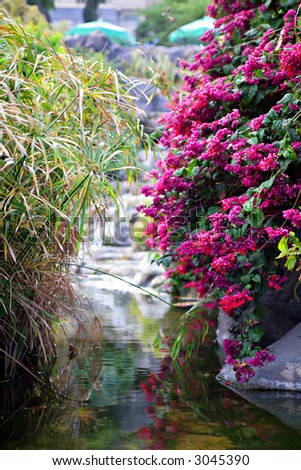 river and pink flowers on the city garden for relax