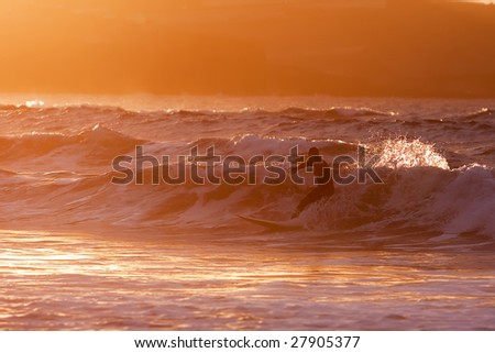 young surfer riding a wave with the board