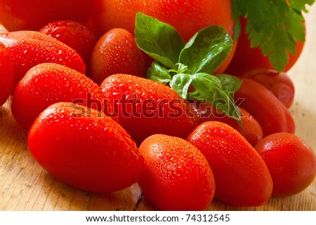 a bunch of fresh tomato with basil and water drops