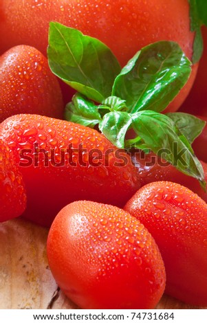 a bunch of fresh tomato with basil and water drops