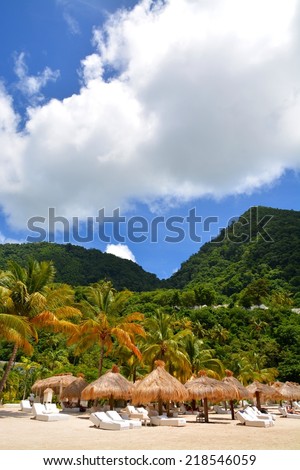 exotic beach at St. Lucia, between the two Pitons, St. Lucia, Caribbean