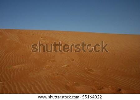 camel foot prints in desert sand