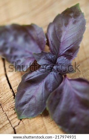 Close-up of purple basil leaves, wooden surface, vertical shot