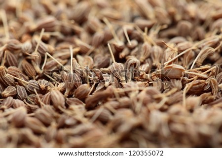 Dried herbs in macro