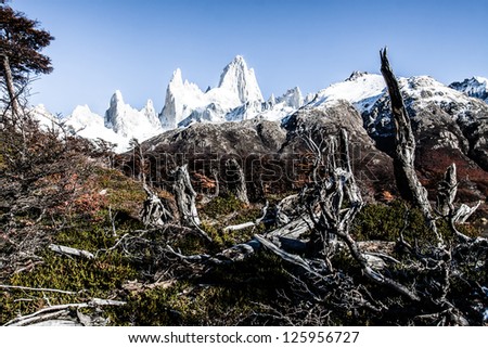 Nature landscape with Mt. Fitz Roy in Los Glaciares National Park, Patagonia, Argentina ( HDR image )