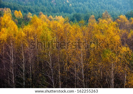 Autumn colors rural landscape near Ogrodzieniec, Poland